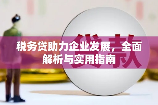 汤原税务贷助力企业发展，全面解析与实用指南