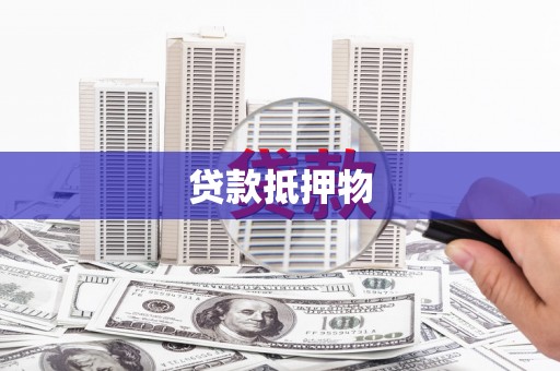 汤原贷款抵押物
