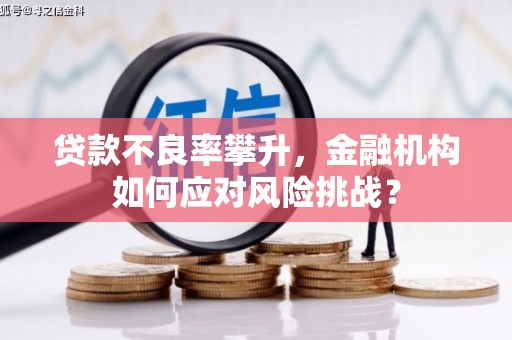 汤原贷款不良率攀升，金融机构如何应对风险挑战？
