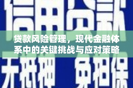 汤原贷款风险管理，现代金融体系中的关键挑战与应对策略