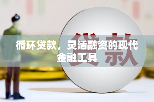 汤原循环贷款，灵活融资的现代金融工具