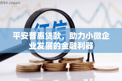 汤原平安普惠贷款，助力小微企业发展的金融利器