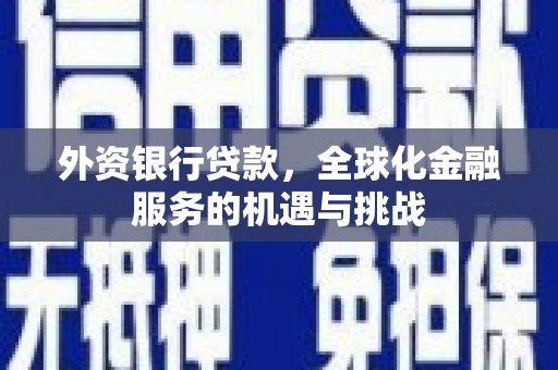 汤原外资银行贷款，全球化金融服务的机遇与挑战