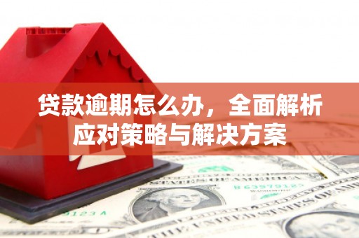 汤原贷款逾期怎么办，全面解析应对策略与解决方案