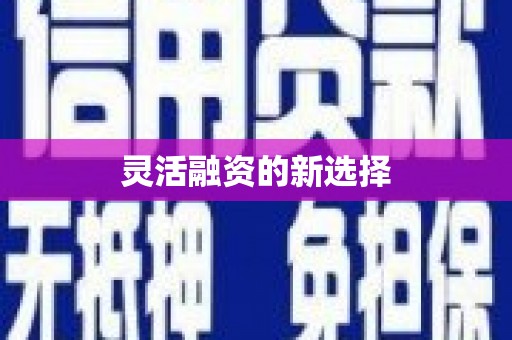 汤原灵活融资的新选择