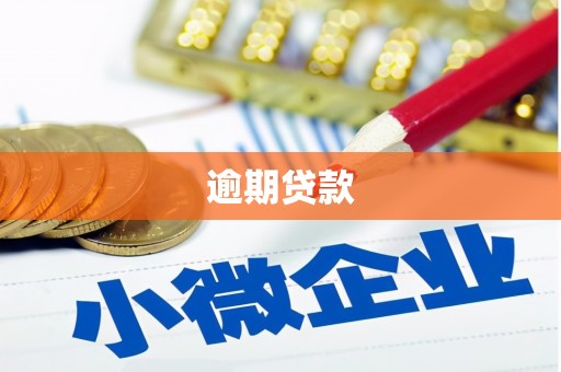 汤原逾期贷款