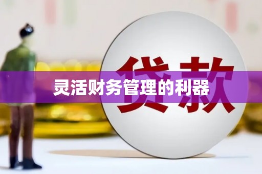 汤原灵活财务管理的利器