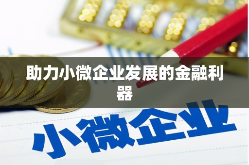 汤原助力小微企业发展的金融利器