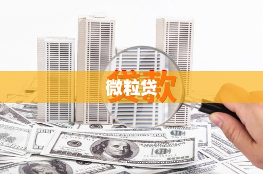 汤原微粒贷
