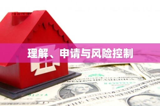 汤原理解、申请与风险控制