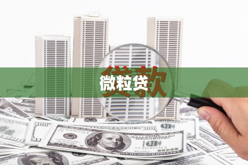汤原微粒贷