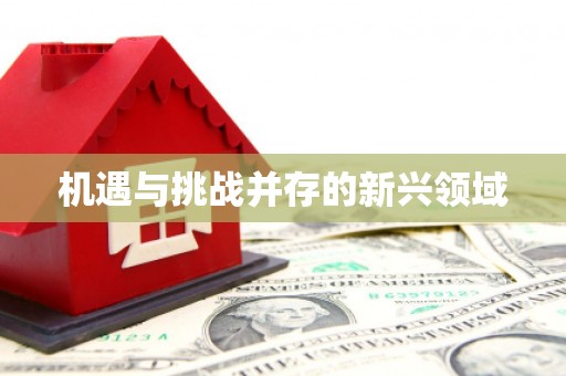 汤原机遇与挑战并存的新兴领域