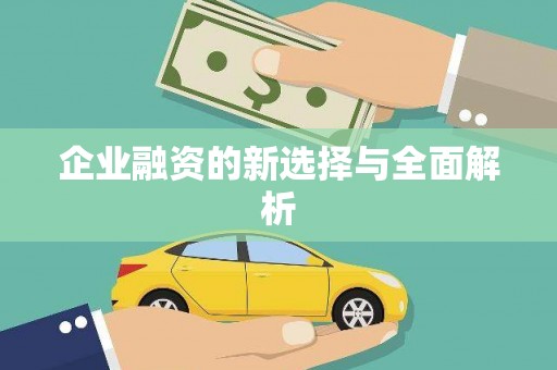 汤原企业融资的新选择与全面解析