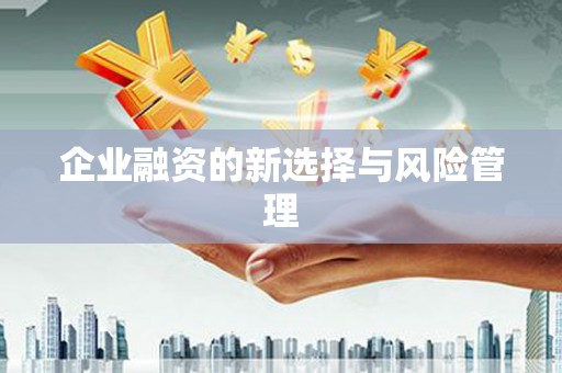 汤原企业融资的新选择与风险管理