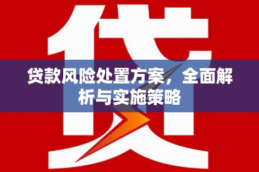 汤原贷款风险处置方案，全面解析与实施策略
