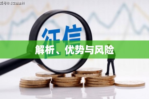 汤原解析、优势与风险