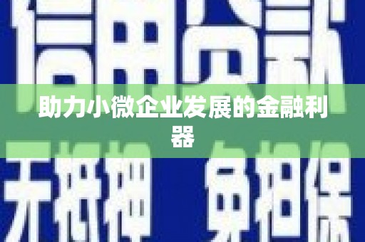 汤原助力小微企业发展的金融利器