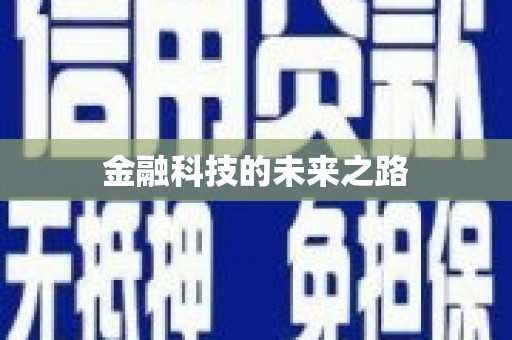 汤原金融科技的未来之路