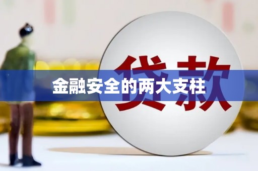 汤原金融安全的两大支柱