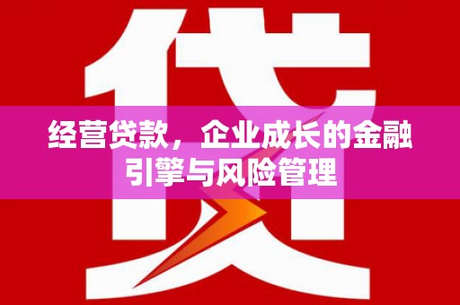 汤原经营贷款，企业成长的金融引擎与风险管理