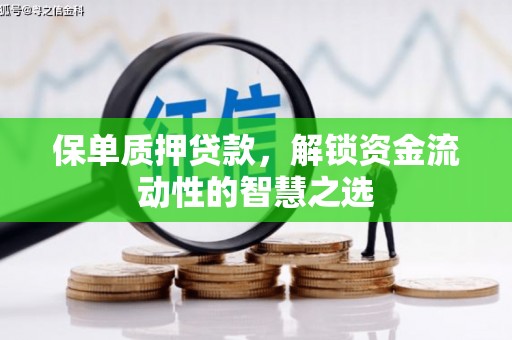 汤原保单质押贷款，解锁资金流动性的智慧之选