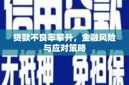 汤原贷款不良率攀升，金融风险与应对策略